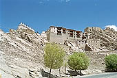 Ladakh - Shey palace 